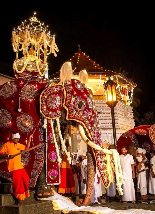 Customized Sri Lankan Travel