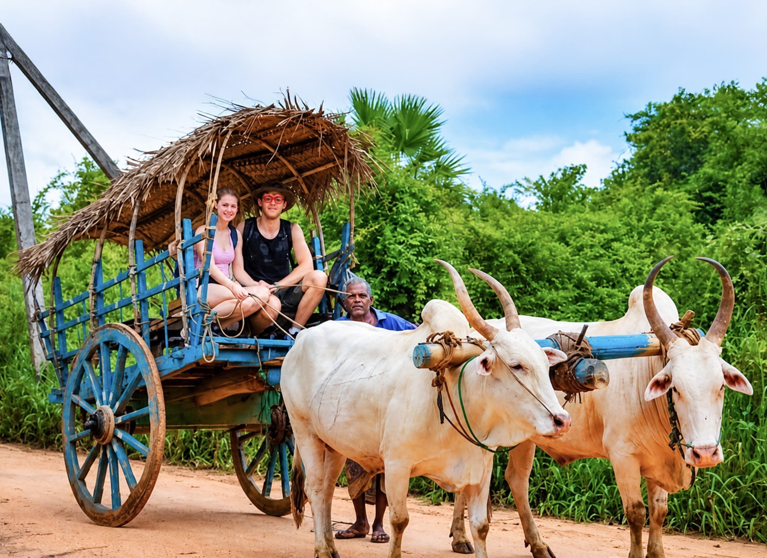 Cultural Tours