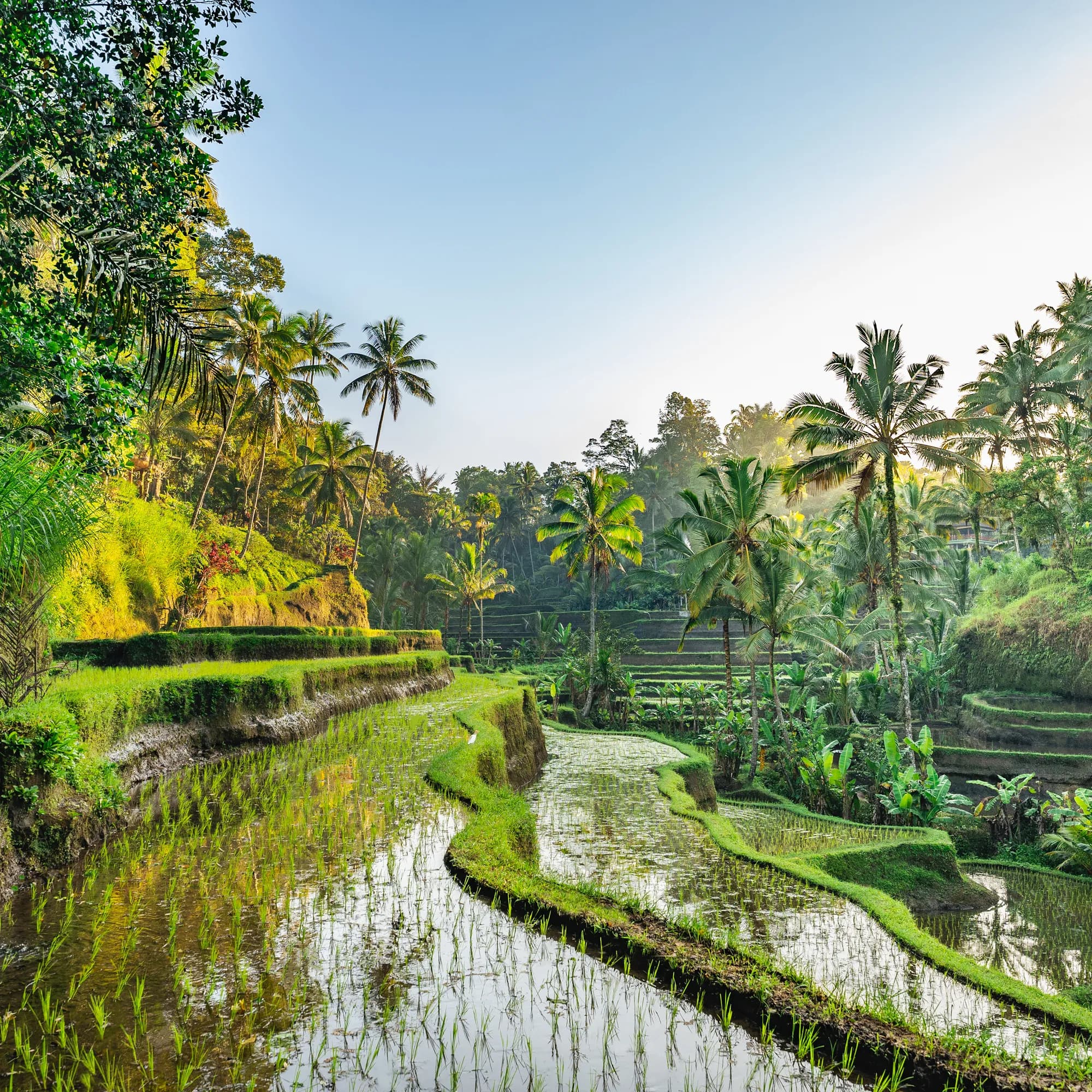 Amazing Bali Getaway