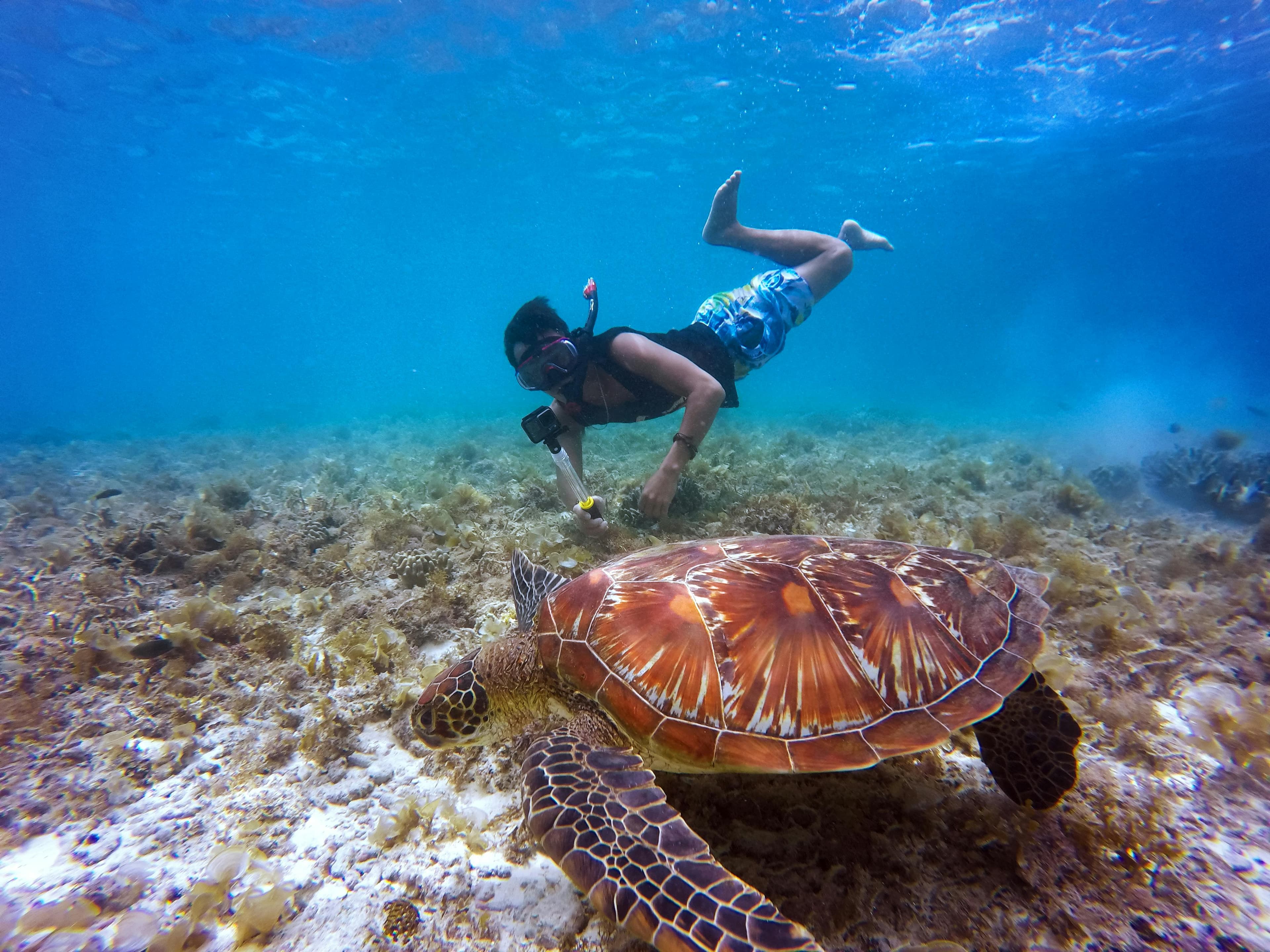 Sri Lanka Beach and Hill Country Tour